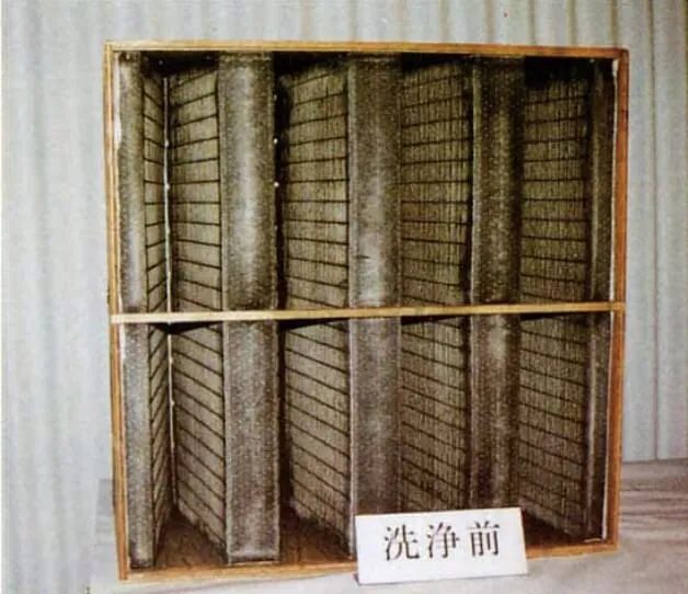 洗浄前