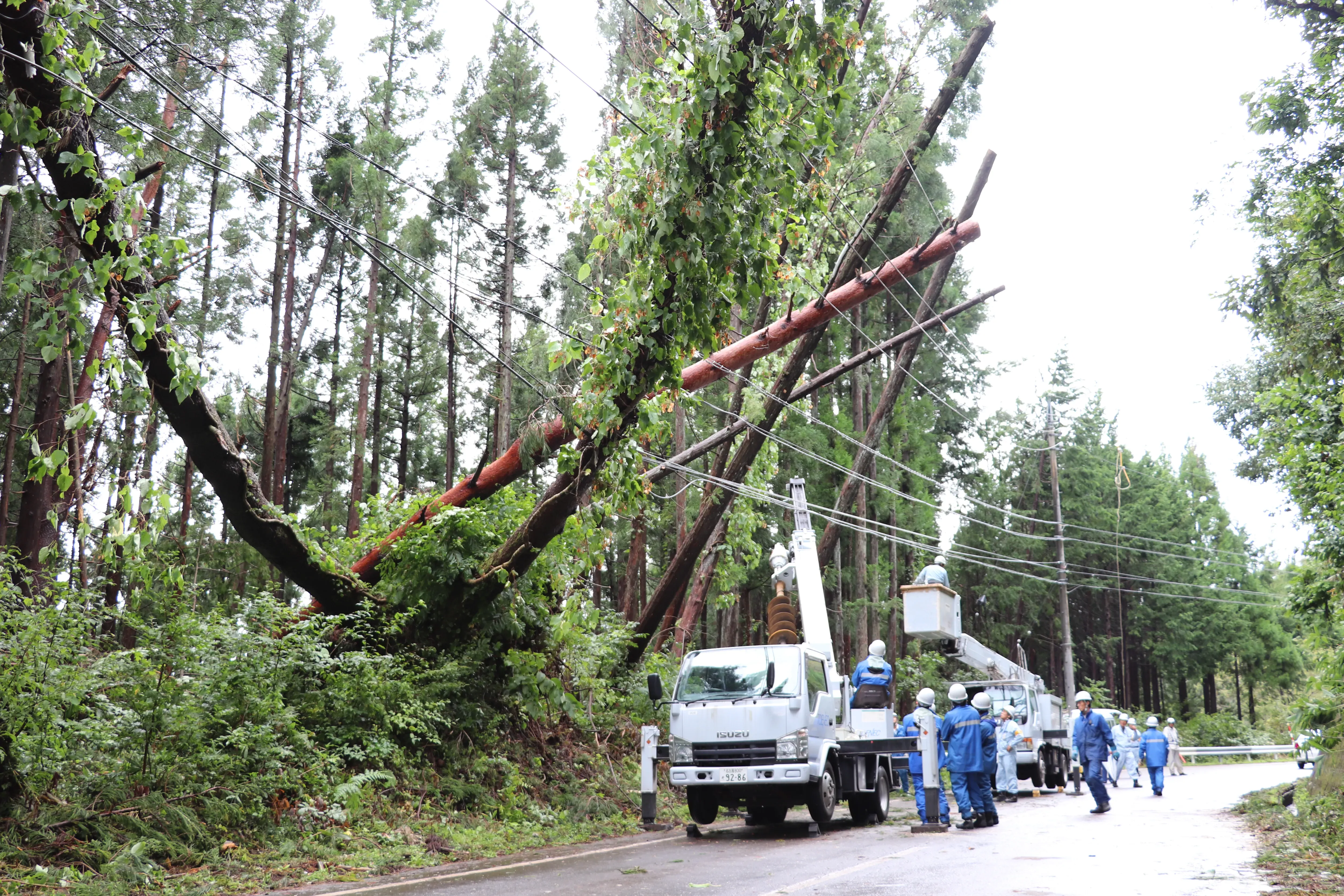 台風21号の災害復旧対応
