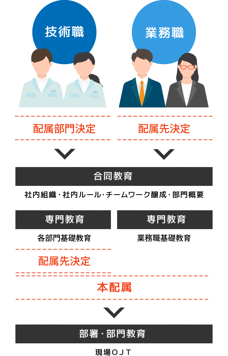 [技術職/技能職/業務職]
        導入基礎教育（社内組織・社内ルール・チームワーク醸成）
        →合同教育（部門概要・電工実技・危険体感・ビジネス文書・マナー）
        →配属部門決定
        →専門教育（各部門基礎教育/経理業務、Excel・Word応用・チームビルディング）
        →本配属
        →部署・部門教育（現場OJT）